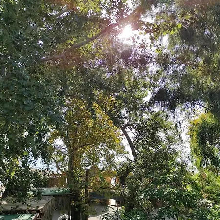 Σπίτι στην ακροθαλασσιά Casa al mare Διαμέρισμα 4*