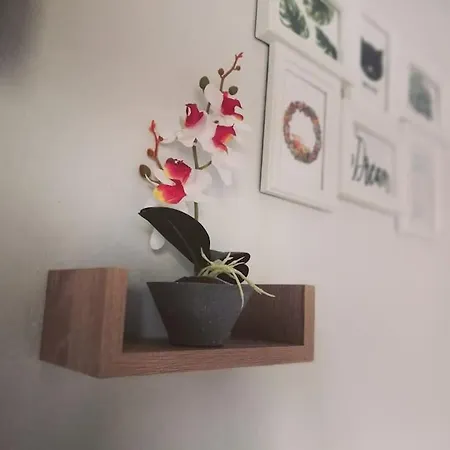 Σπίτι στην ακροθαλασσιά Casa al mare 4*