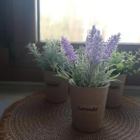 Διαμέρισμα Σπίτι στην ακροθαλασσιά Casa al mare 4*