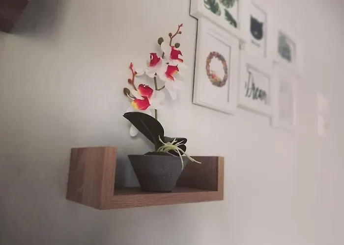 Σπίτι Στην Ακροθαλασσιά Casa Al Mare *