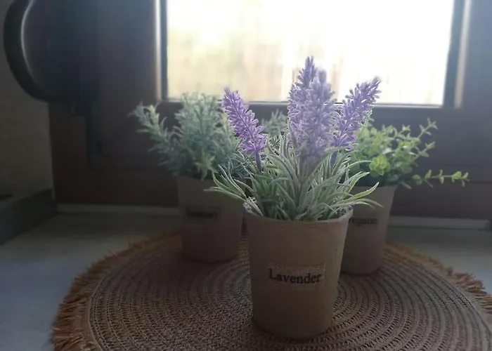 Apartamento Σπίτι Στην Ακροθαλασσιά Casa Al Mare *